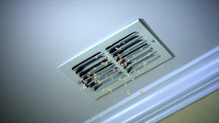 Best HVAC Air Duct Cleaning  in Duchesne, UT